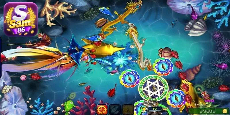 Người chơi cần lựa chọn cổng game uy tín để chơi bắn cá ăn xu