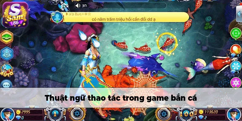 Những thuật ngữ về thao tác trong game bắn cá Những thuật ngữ về thao tác trong game bắn cá
